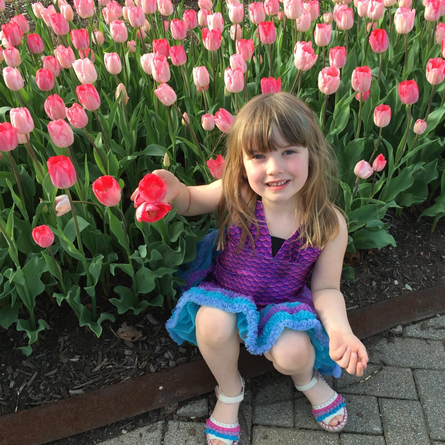 Spring Adore Spring renewal: why we adore spring - Lewis Center Mom