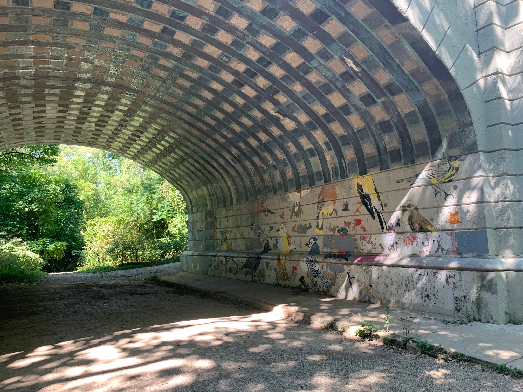 Hunting for the hidden bird tunnel in Clintonville - Lewis Center Mom