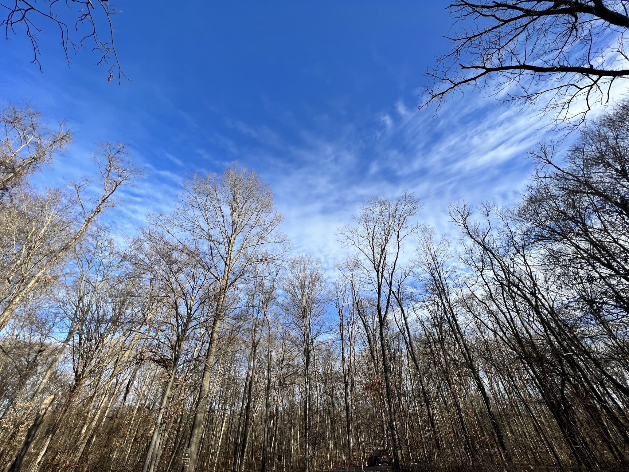 Are you making the most of Delaware's amazing parks? Midlife Mama